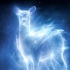 Patronus